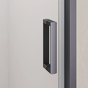 Душевая дверь RGW Classic (Класcик) CL-14Gr 120 38091412-110 профиль Серый стекло прозрачное-2