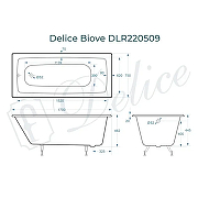 Чугунная ванна Delice Biove 170х75 DLR220509 без отверстий под ручки и антискользящего покрытия, с ножками DLR000001-2