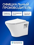 Унитаз с инсталляцией Avimano Promotion 1000080 + Tece Now 9400414 с сиденьем Микролифт и Черной матовой клавишей смыва-5