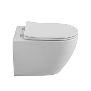 Унитаз подвесной Cezares Вектор (Stylus) CZR-6601-TH-TOR/SC цвет Белый с сиденьем Микролифт-1