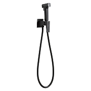 Гигиенический душ со смесителем Frap F7591-26 цвет Черный матовый