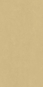 Керамическая плитка Italon Surface Wall Project 600010002373 160x80 см
