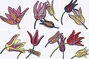 Декор Bardelli Tuli-Pop TPOP001 120x80 см