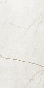 Керамогранит Argenta Raffaello 8435592066462 60x120 см