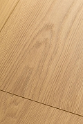 Ламинат First Floor Дуб Аморе/Amore oak 1F308 1215х195х8 мм-3