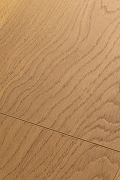 Ламинат First Floor Дуб Джусто/Justo oak 1F316 1515х195х8 мм-2