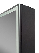 Зеркальный шкаф Art&Max Tehno 60 AM-Tec-600-800-1D-DS-F-Nero с подсветкой цвет Черный-3