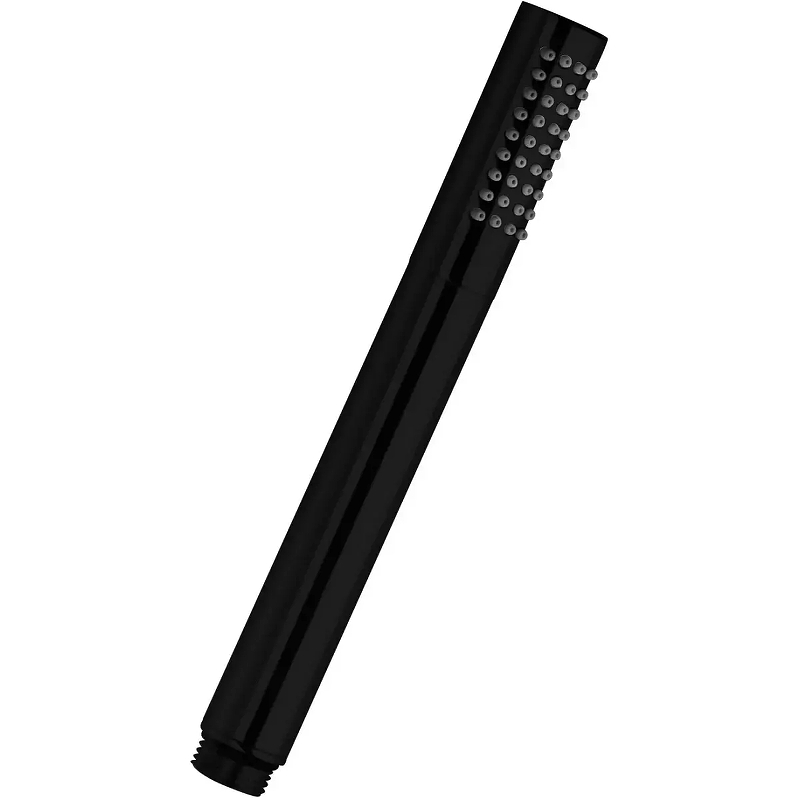 Ручной душ Paini 53PZ155AS 
