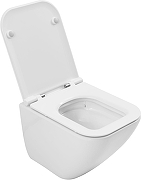 Унитаз подвесной Allen Brau Liberty 4.33012.20 цвет Белый с сиденьем Микролифт-4