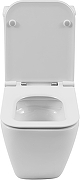 Унитаз-компакт Allen Brau Liberty 4.33013.20 цвет Белый с бачком и сиденьем Микролифт-7