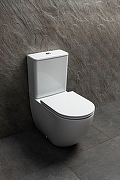 Унитаз-компакт Allen Brau Priority 4.31006.20 цвет Белый с бачком и сиденьем Микролифт-9