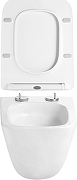 Унитаз подвесной Aquanet BioVortex 3.0 W Tornado 384176 цвет Белый с сиденьем Микролифт-12