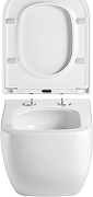 Унитаз подвесной Aquanet Trend 3.0 W Tornado 384178 цвет Белый с сиденьем Микролифт-11