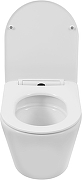 Унитаз с инсталляцией Grohe SET-Rapid-L6W цвет Белый с сиденьем Микролифт и клавишей смыва цвет Хром-6