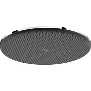 Верхний душ Hansgrohe Raindance Alive S 24520000 цвет Хром