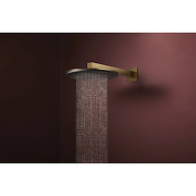 Верхний душ Hansgrohe Raindance Alive S 24520140 цвет Шлифованная бронза-2