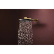 Верхний душ Hansgrohe Raindance Alive S 24520140 цвет Шлифованная бронза-3
