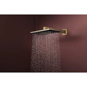 Верхний душ Hansgrohe Raindance Alive Q 24530140 цвет Шлифованная бронза-1
