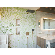 Верхний душ Hansgrohe Raindance Alive Q 24530140 цвет Шлифованная бронза-2
