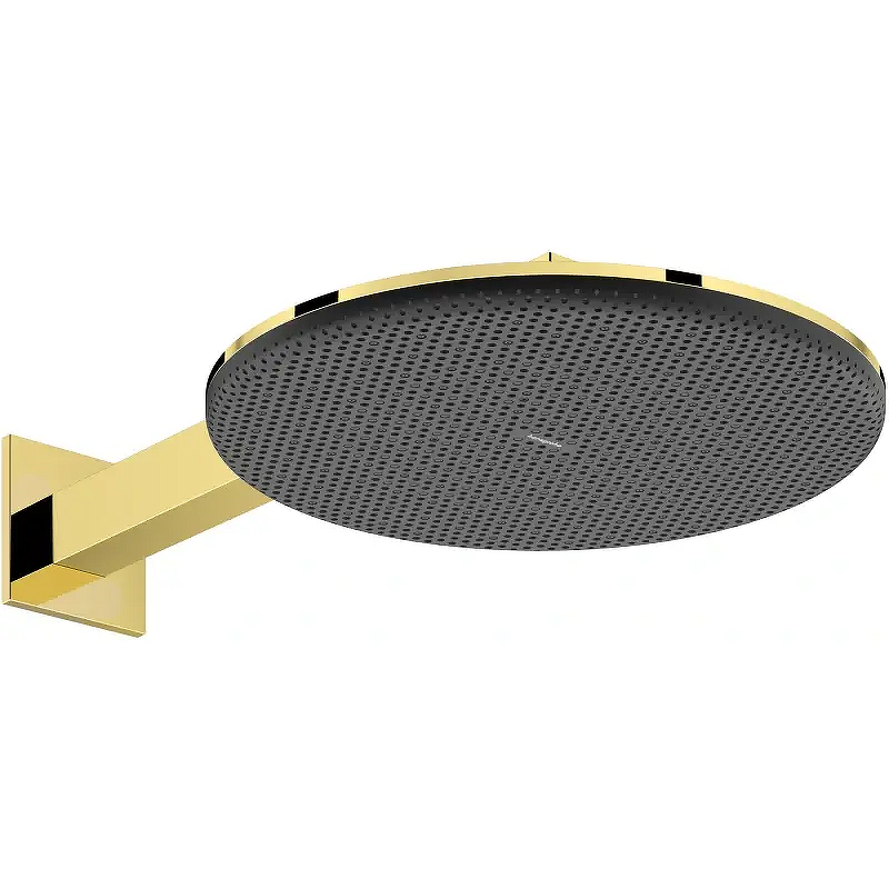 Верхний душ Hansgrohe Raindance Alive S 24540990 