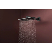 Верхний душ Hansgrohe Raindance Alive Q 24550340 цвет Шлифованный черный хром-2