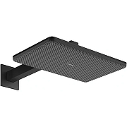 Верхний душ Hansgrohe Raindance Alive Q 24550670 цвет Черный матовый