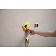 Шланговое подключение Hansgrohe FixFit Fine S 28882990 цвет Полированное золото глянцевое-2