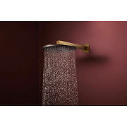 Верхний душ Hansgrohe Raindance Alive 24540140 цвет Шлифованная бронза-2