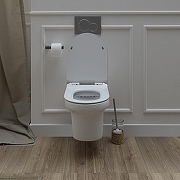 Унитаз подвесной Aquanet Nova BL-101N-WHT NOVA-W 211914 с сиденьем Микролифт-8