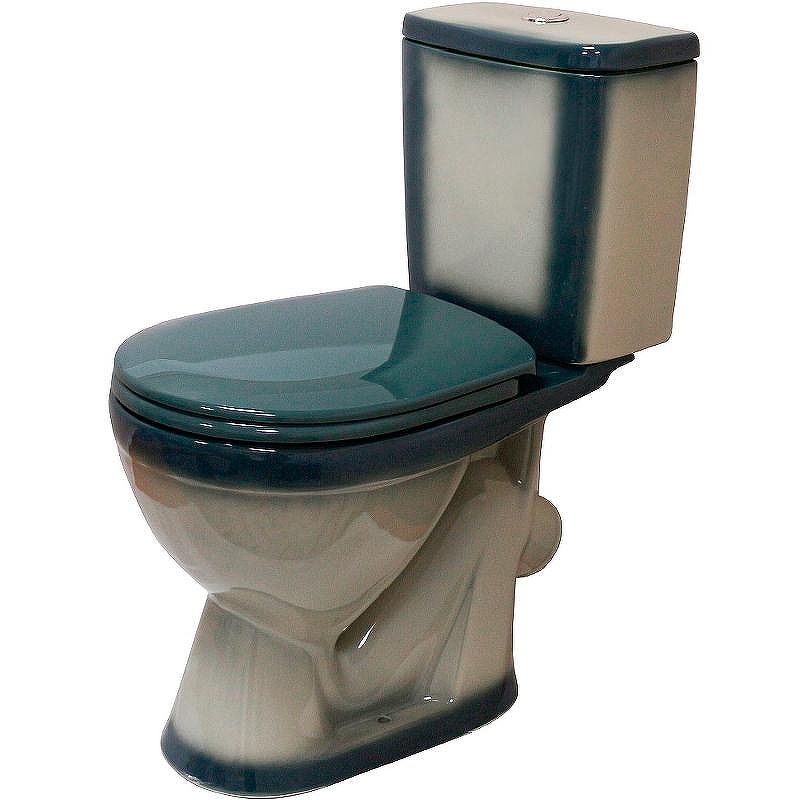 Унитаз компакт Rosa Лира 4620008192062 