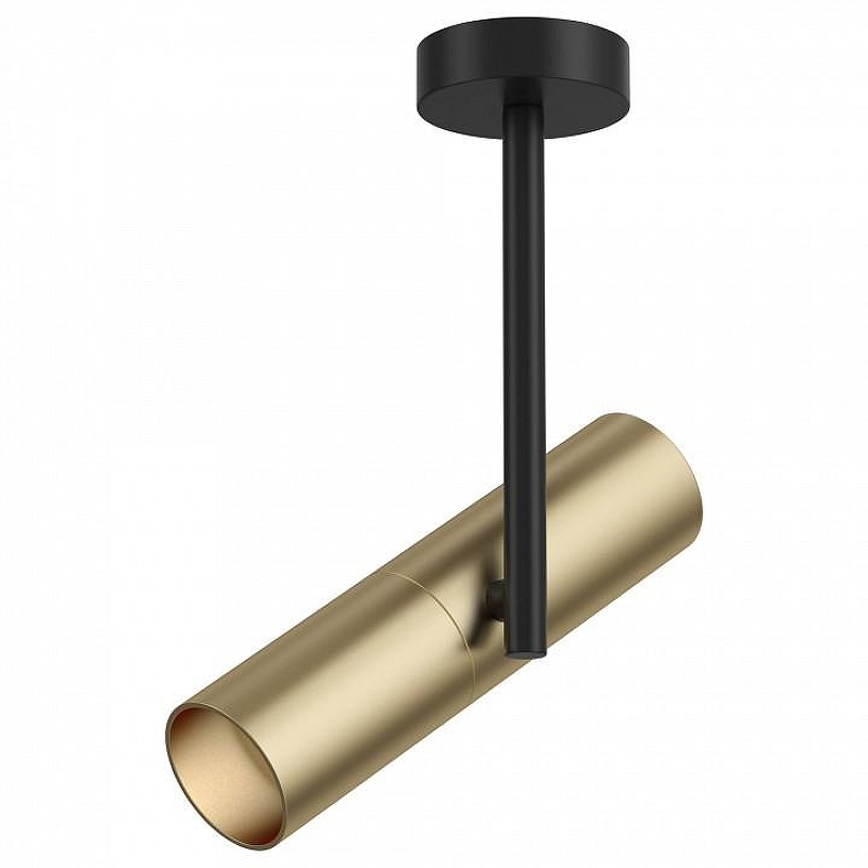 Потолочный светильник Maytoni Ceiling Wall Elti C020CL-01GB 