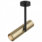 Потолочный светильник Maytoni Ceiling Wall Elti C020CL-01GB цвет плафона/подвески Золото, цвет арматуры Черный