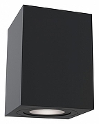 Потолочный светильник Maytoni Ceiling Wall Atom C017CL-01B Черный