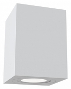 Потолочный светильник Maytoni Ceiling Wall Atom C017CL-01W Белый