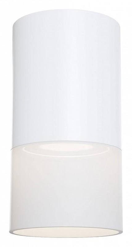 Потолочный светильник Maytoni Ceiling Wall Pauline C007CW-01W 