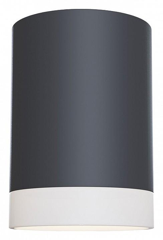 Потолочный светильник Maytoni Ceiling Wall Pauline C008CW-01B 