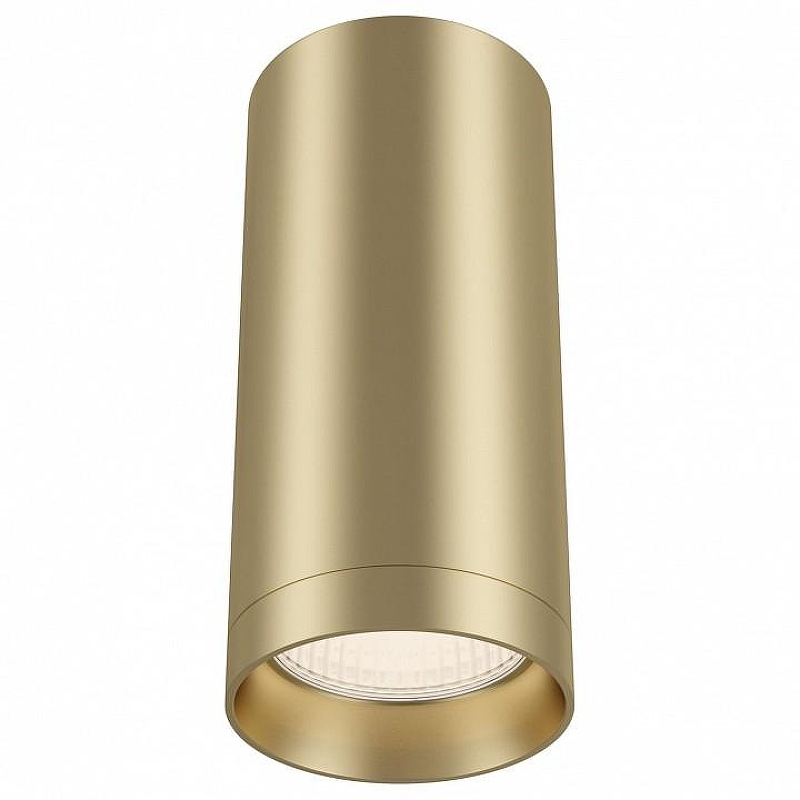 Потолочный светильник Maytoni Ceiling Wall Focus C010CL-01MG 