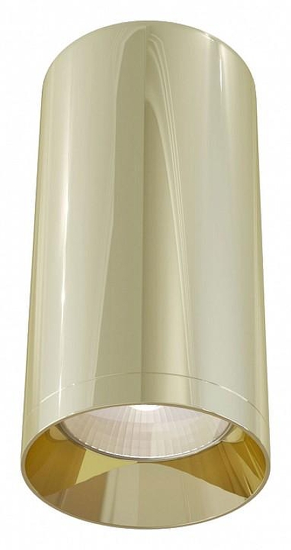 Потолочный светильник Maytoni Ceiling Wall Focus C010CL-01G 