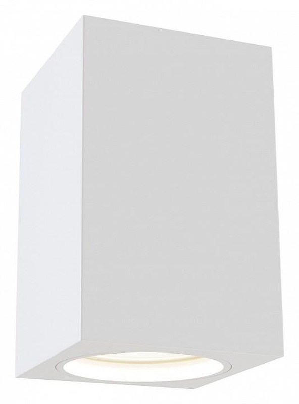 Потолочный светильник Maytoni Ceiling Wall Focus C011CL-01W 