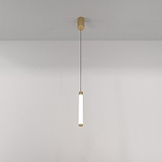 Подвесной светильник Maytoni Pendant Ray P022PL-L10MG3K Золото-5