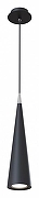 Подвесной светильник Maytoni Pendant Nevill P318PL-01B цвет плафона/подвески Черный, цвет арматуры Черный-1