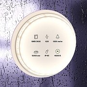 Светодиодная лента Maytoni Led Strip 10118 12В-1
