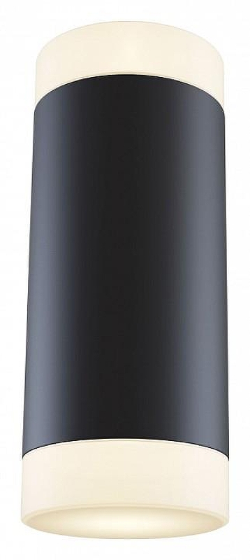 Настенный светильник Maytoni Ceiling Wall Kilt Led C027WL-L10B 