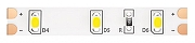 Светодиодная лента Maytoni Led Strip 10107 12В