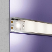 Светодиодная лента Maytoni Led strip 10169 24В-4
