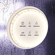 Светодиодная лента Maytoni Led Strip 10112 12В-1