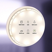 Светодиодная лента Maytoni Led Strip 10121 12В-1