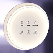 Светодиодная лента Maytoni Led strip 10183 24В-1