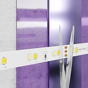 Светодиодная лента Maytoni Led Strip 20041 24В-2