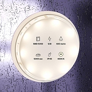 Светодиодная лента Maytoni Led Strip 10124 12В-1